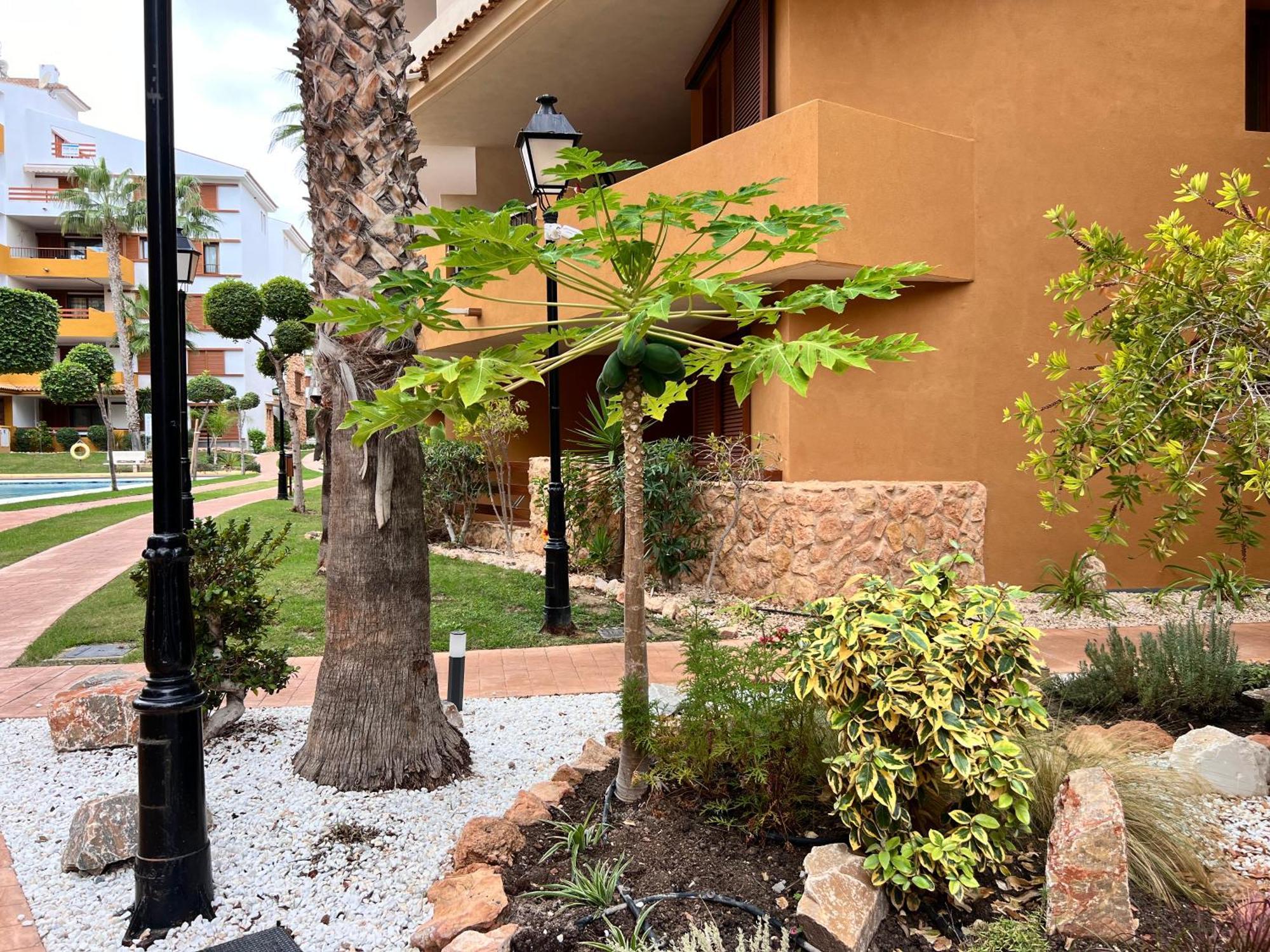 Punta Prima - Sun & Beach & Golf & Bike - Spanish South-Facing Terrace Apartment - La Recoleta - By The Sea Torrevieja Dış mekan fotoğraf